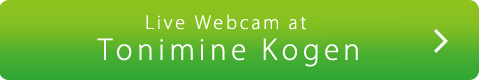 Live Webcam at Tonimine Kogen